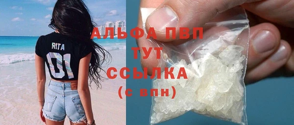 спиды Новодвинск
