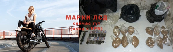 спиды Новодвинск
