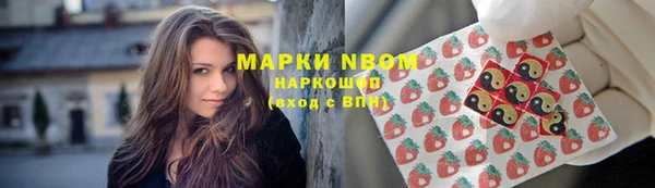 спиды Новодвинск