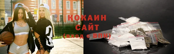 стафф Новокубанск
