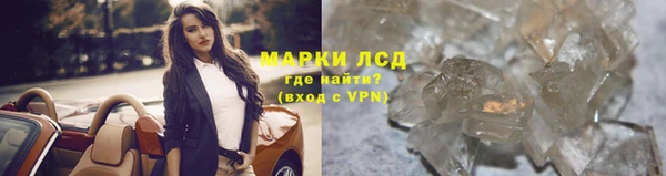 стафф Новокубанск