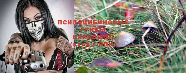 стафф Новокубанск