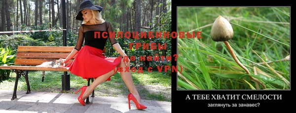 индика Балашиха