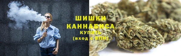 стафф Новокубанск