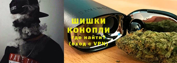 стафф Новокубанск
