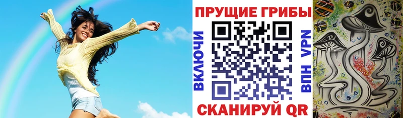 Псилоцибиновые грибы ЛСД  Купить где  Прохладный 